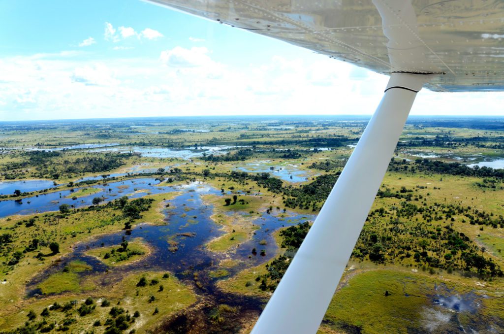 Okavango delta, the best fly in safaris