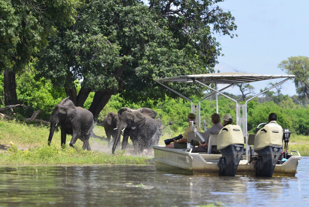 On a boat safari River cruise and safari, Chobe and Delta, Botswana