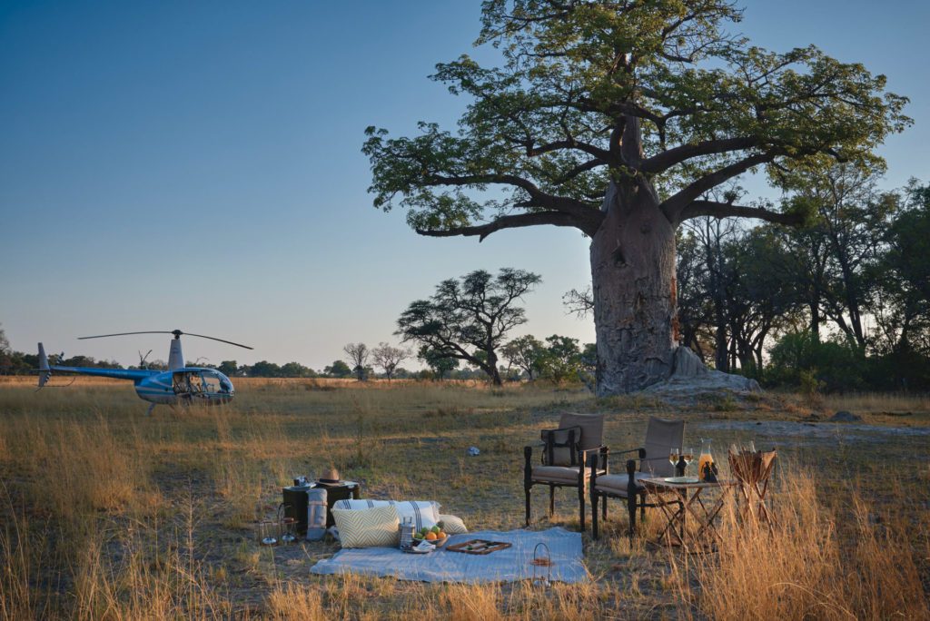Safari Picnic by a Baobab tree on an Africa tour of Okavango Delta