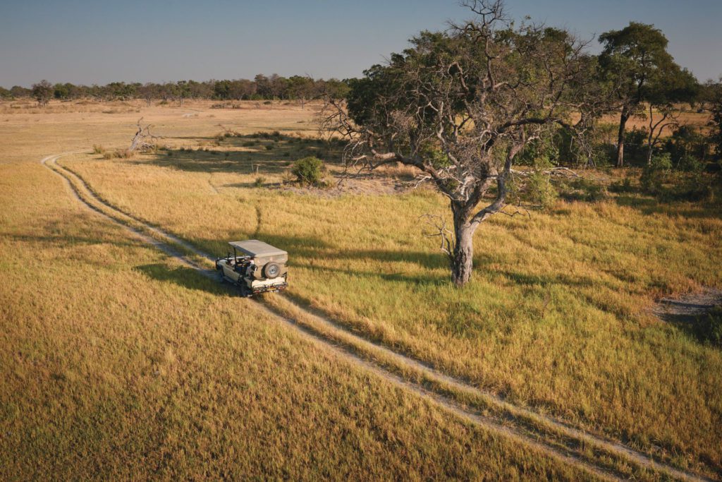 Guided game drive safari tour in Botswana