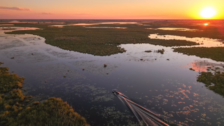Luxury Safari in Linyanti & Okavango Delta