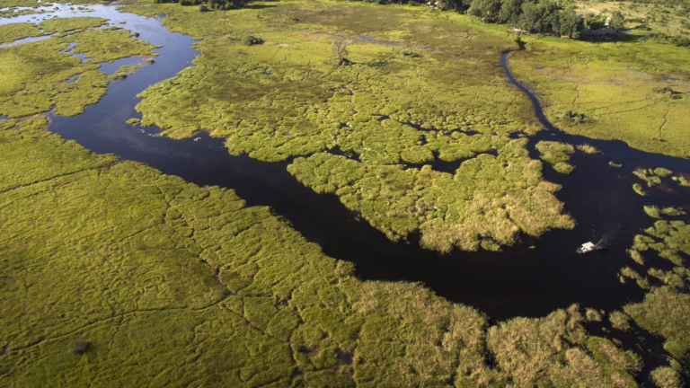An Okavango Delta Safari: Explore Botswana’s Iconic Wetlands