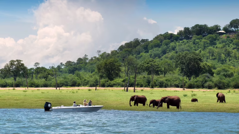 The Ultimate Zimbabwe Safari