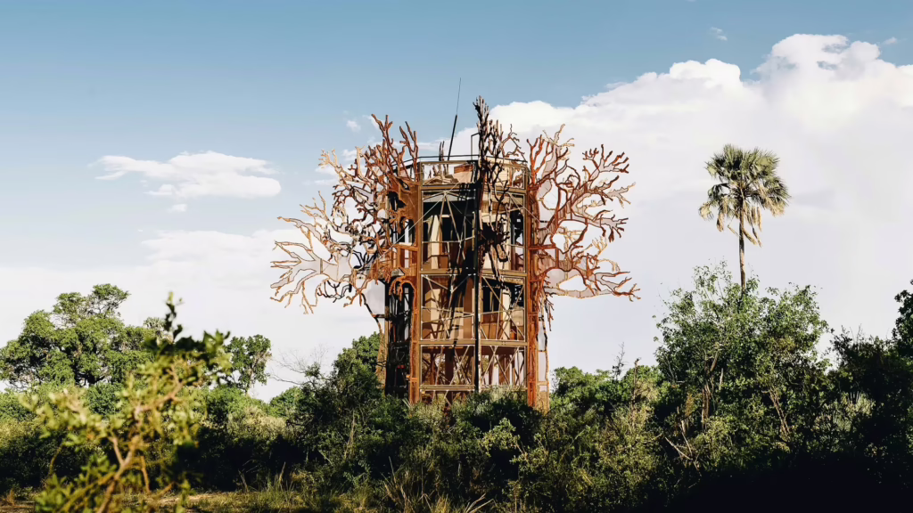Xigera Baobab Treehouse