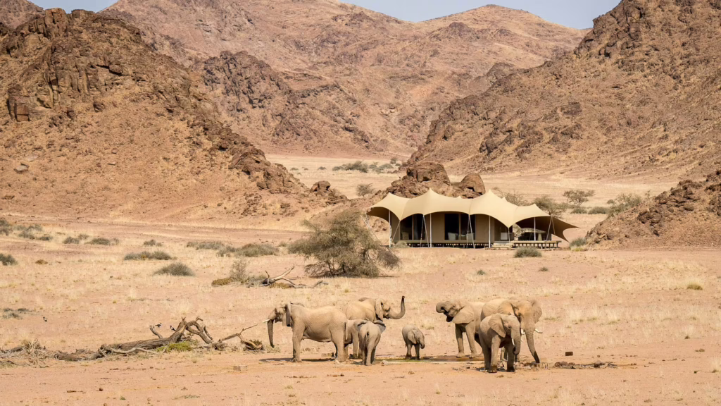 Hoanib Skeleton Coast