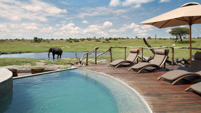 12 day ultimate Zimbabwe safari