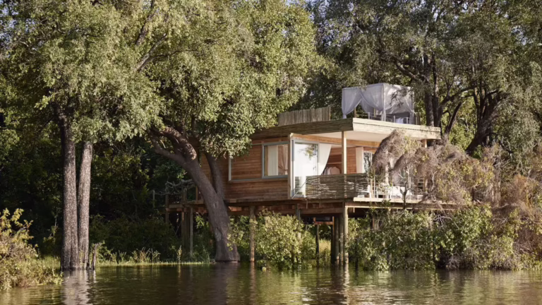A Luxury Treehouse Safari