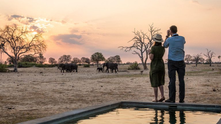 Highlights of Zimbabwe safari