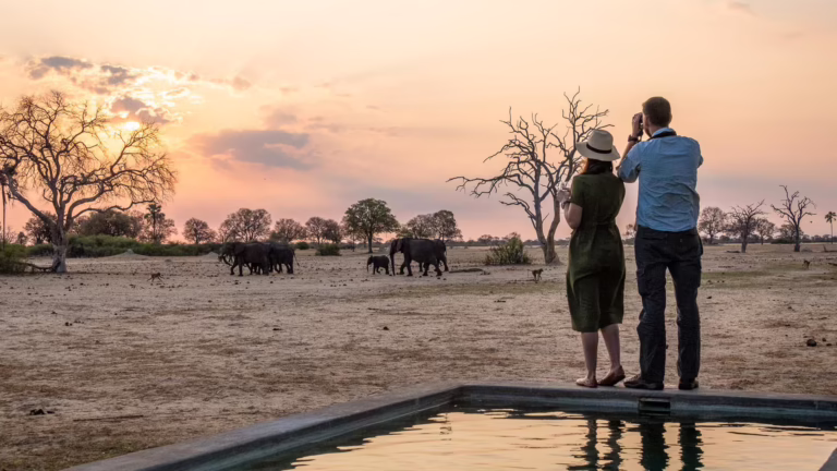 The Highlights Of Zimbabwe Safari