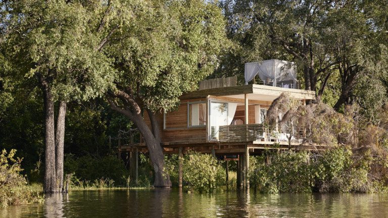 Luxury treehouse safari