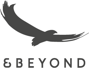 AndBeyond grey logo