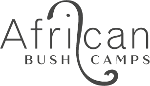 African Bush Camps grey logo