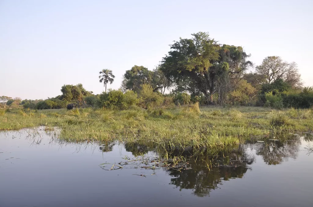 Okavango Delta scenery on an africa safari tour