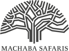 Machaba Safaris logo