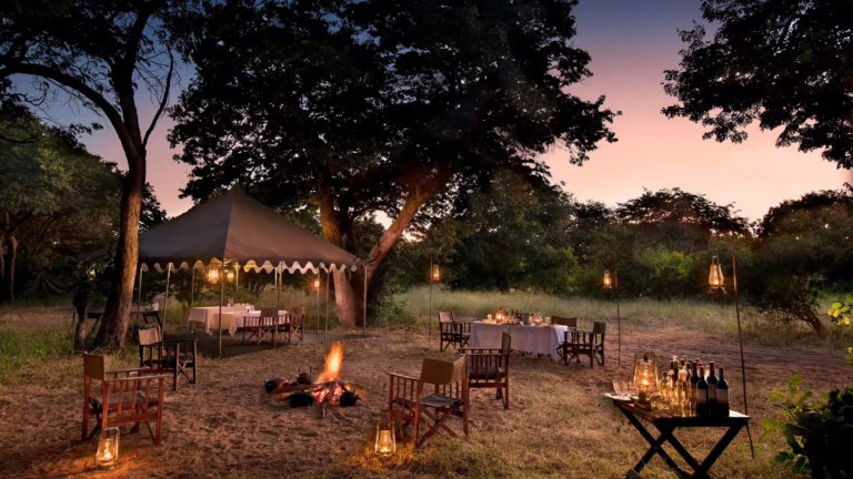 7-Night Botswana Fly-In Safari