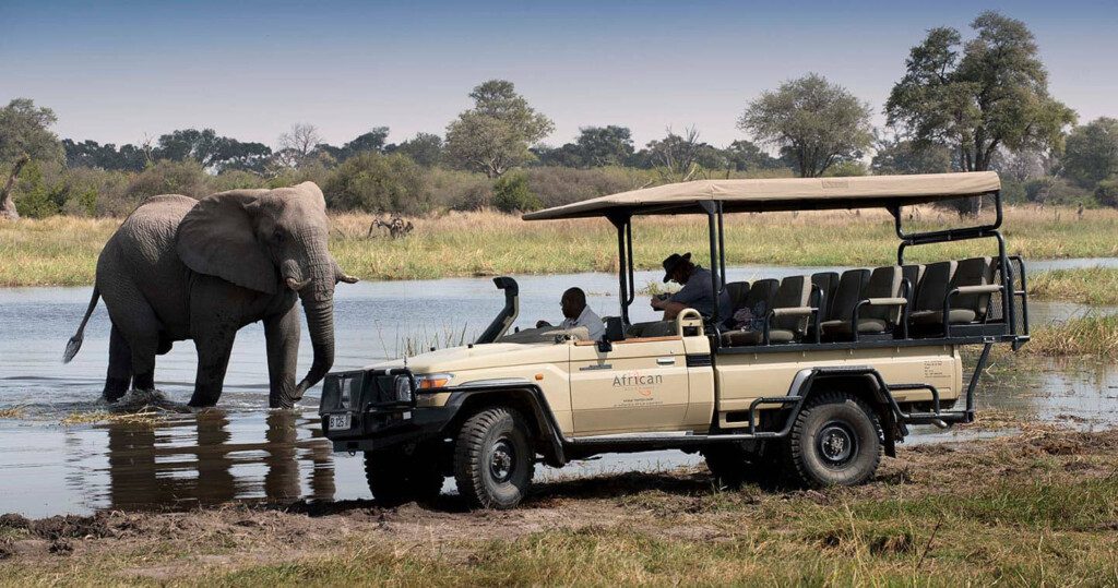 game experience at Khwai Tented Camp in the Okavango Delta, Botswana