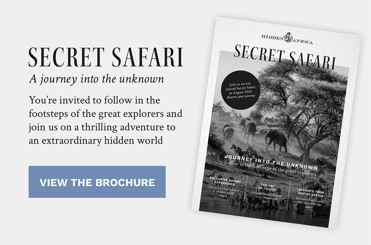 Secret Safari Brochure