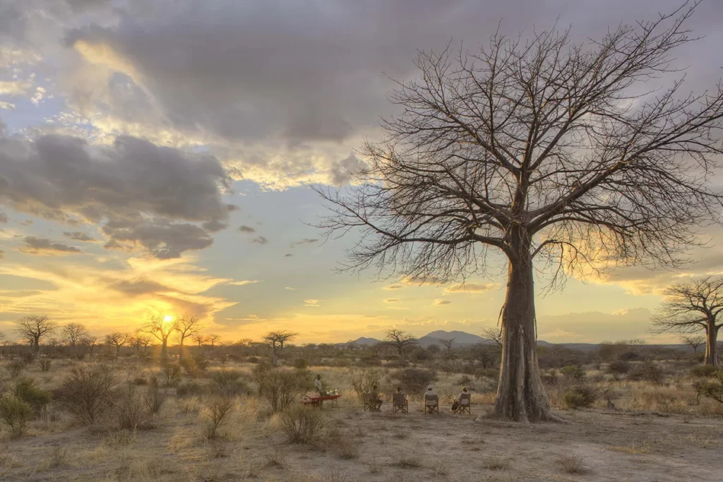 A sunset image of Ruaha National Park in the dry season at Ruaha National Park