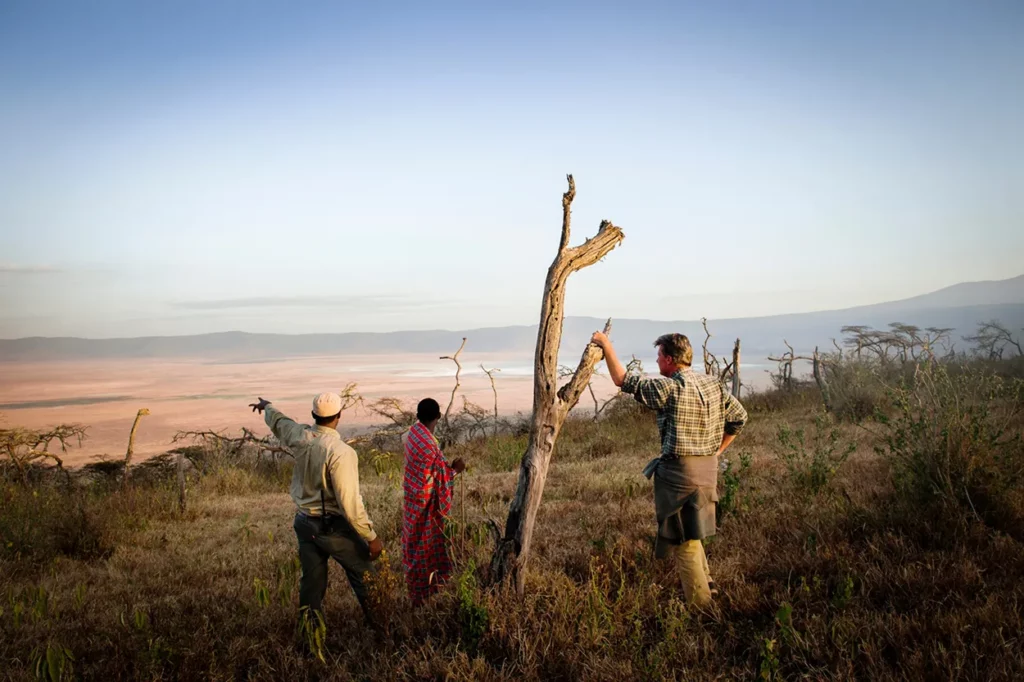 Walking safari on the rim of Ngorongoro crater