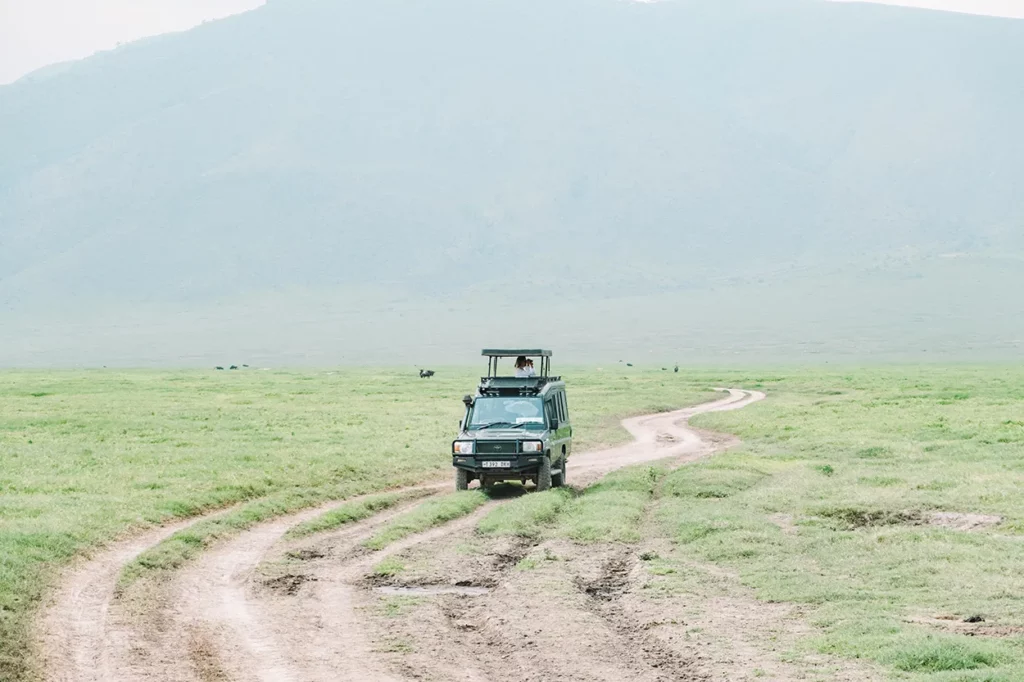 Game drive in Ngorongoro crater