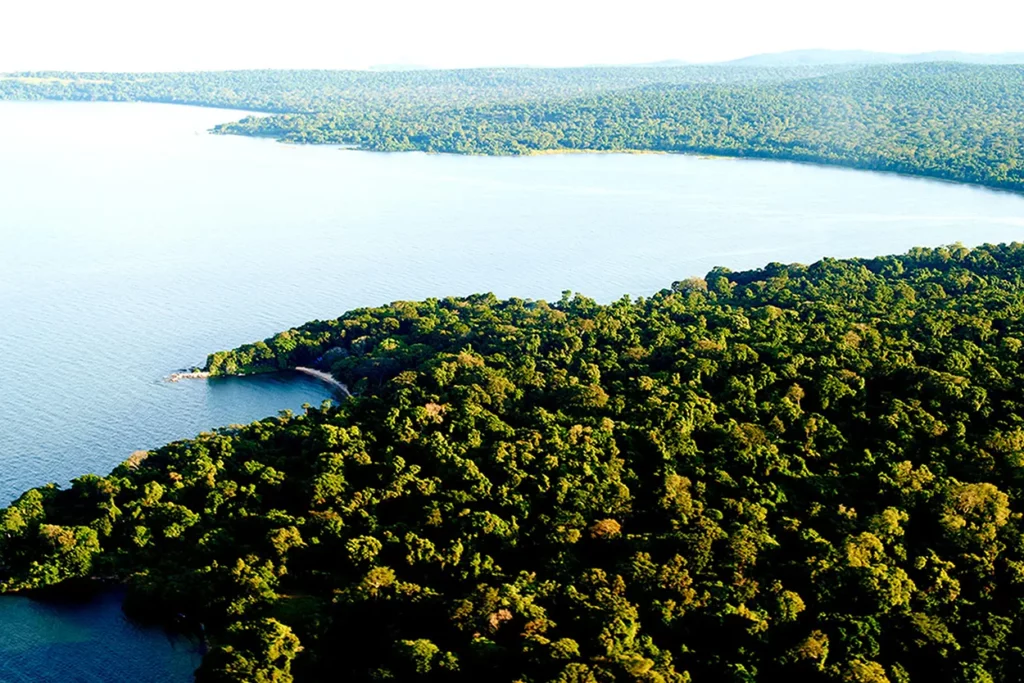 Aerial view of Rubondo Island and the surrounding lake