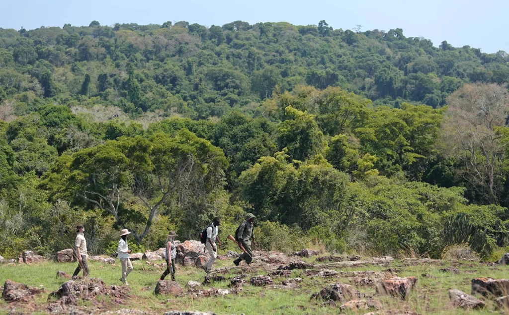 Views over the trees on a game drive on Rubondo Island