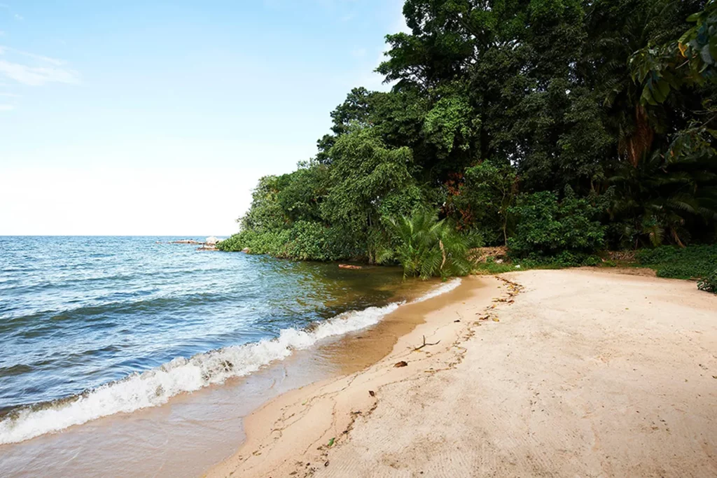 The beach on Rubondo Island