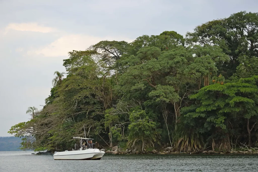 Chimpanzee trekking by boat at Rubondo Island