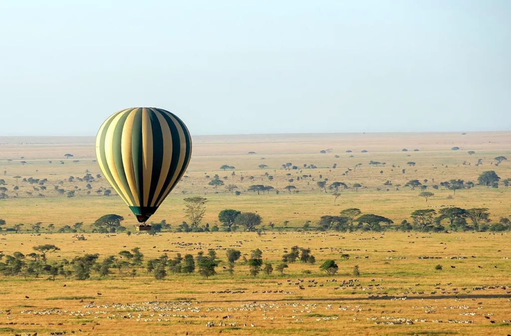 Magical hot air balloon in the Serengeti