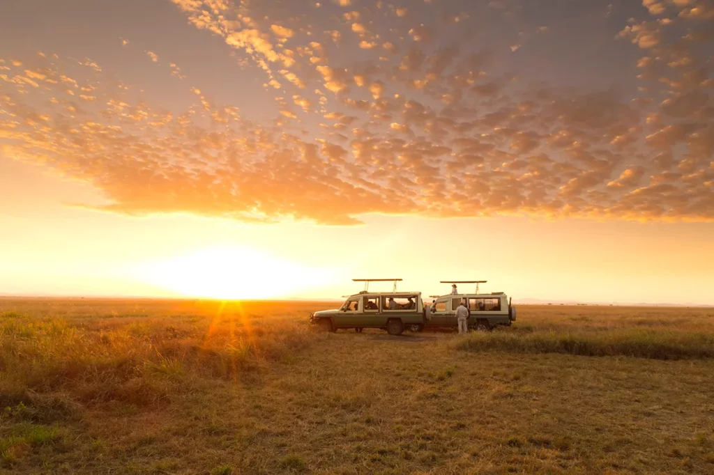 Sunset game drive in the Serengeti