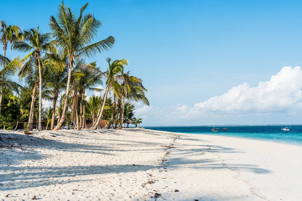 Typical blue sky, sea and palm tree image of a beach in Zanzibar