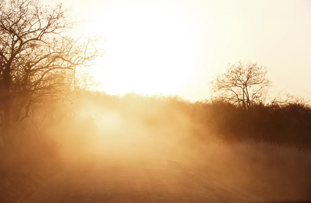 Sunset through the dust in Ruaha National park