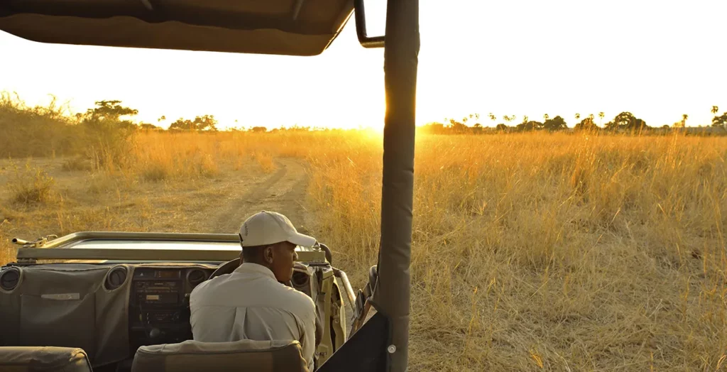 Image of the guide in the front seat with setting sun in the background at Ruaha