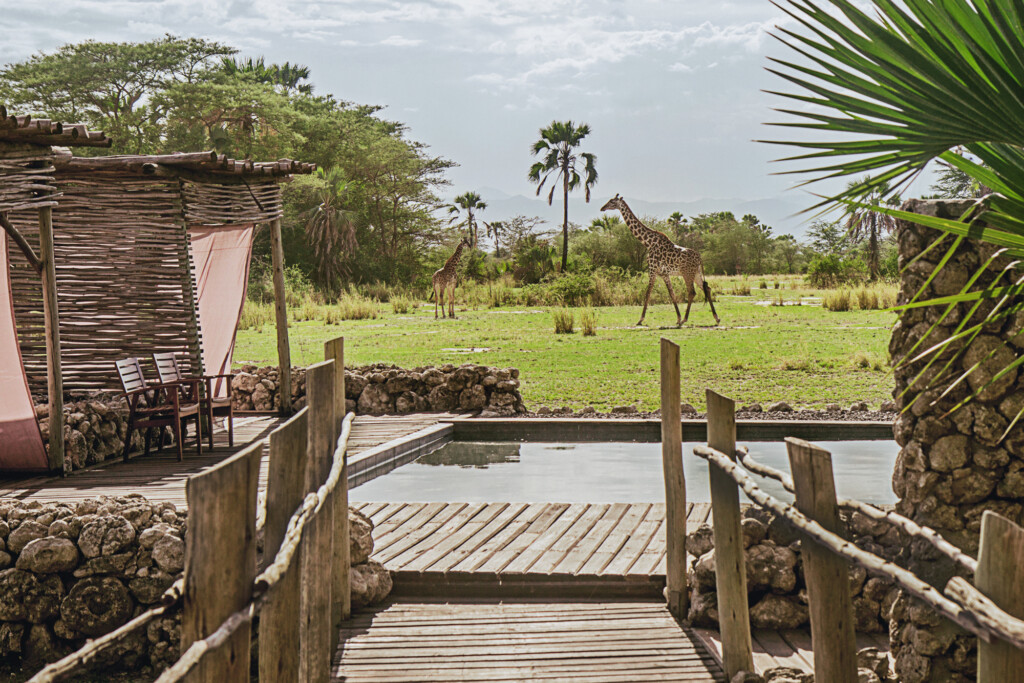 Chem-Chem-Lodge-Safari-Tanzania-Accommodation-Luxury-Pool-Area-Giraffe