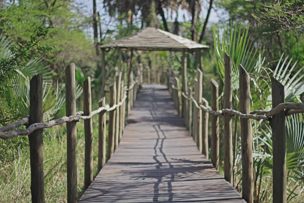 Chem-Chem-Lodge-Safari-Tanzania-East-Africa-Walkway-Accommodation