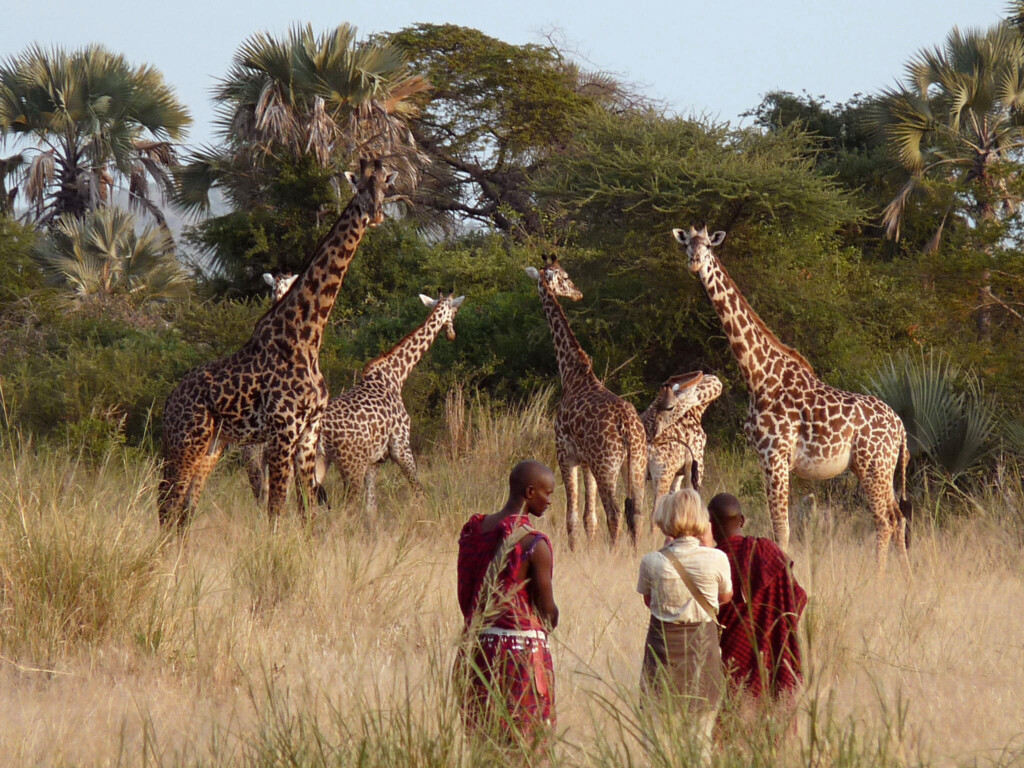 Chem-Chem-Lodge, a walking safari with Maasai warriors