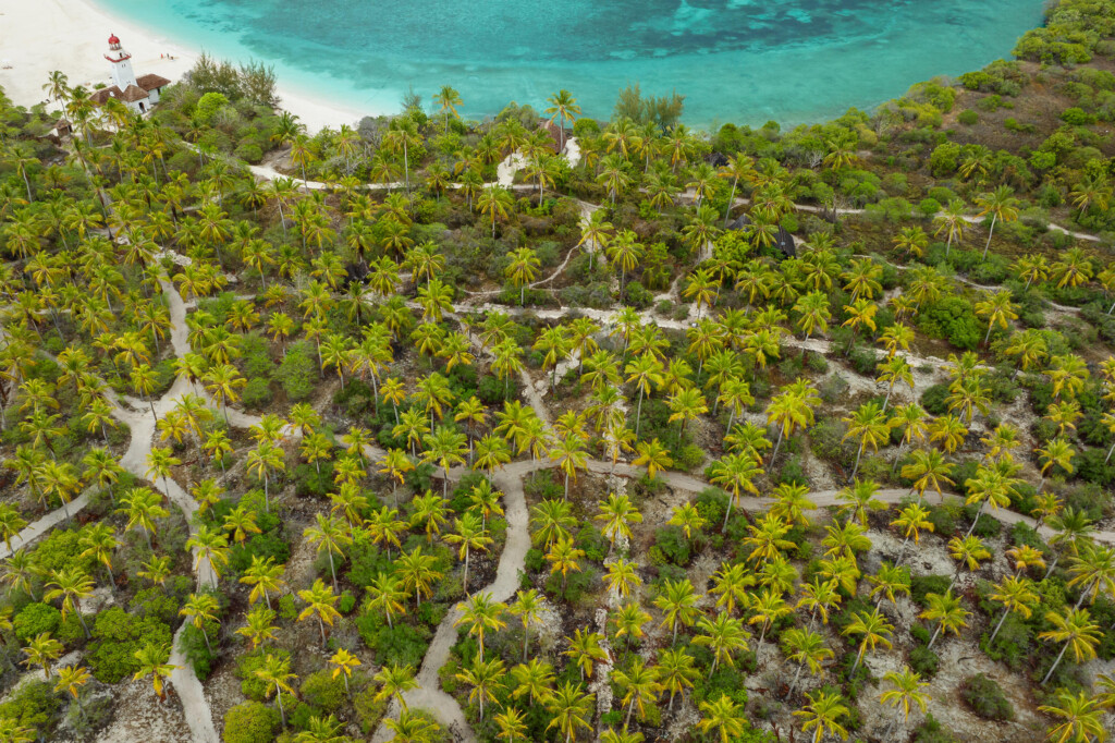 Fanjove island, view of Island from above showing criss crossing paths in the trees