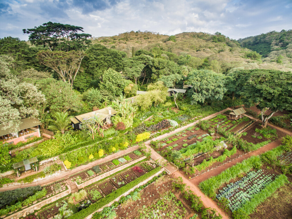 Gibb's-Farm-Ngorongoro-Carter-Tanzania-safari-aerial-view-veggie-garden