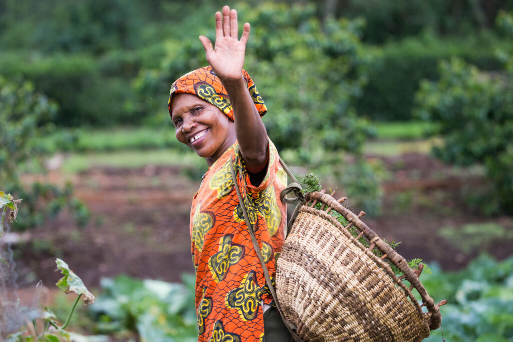 Gibb's-Farm-Ngorongoro-Carter-Tanzania-safari-harvesting-vegtables