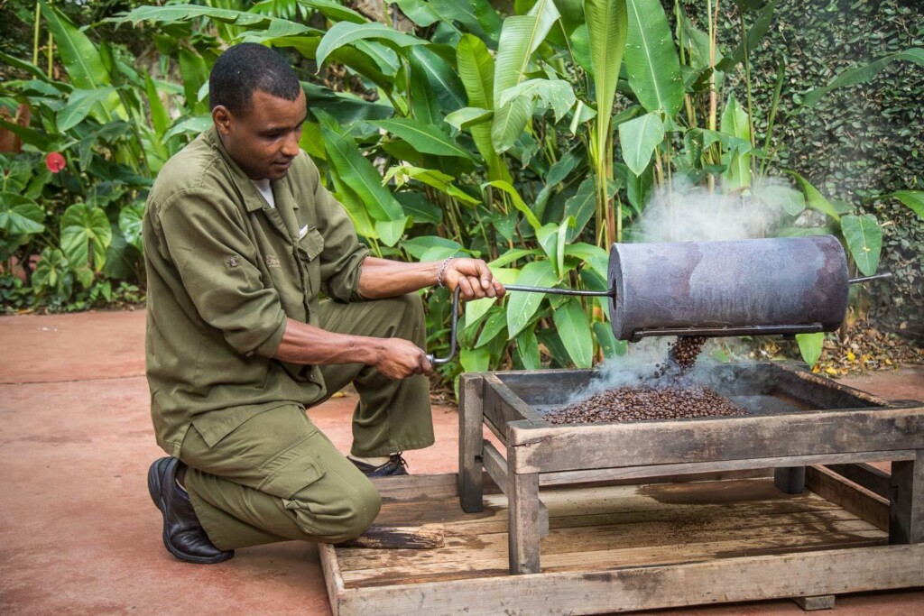 Gibb's-Farm-Ngorongoro-Carter-Tanzania-safari-coffee-beans