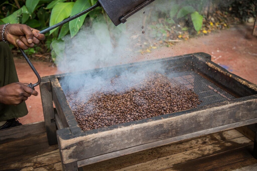 Gibb's-Farm-Ngorongoro-Carter-Tanzania-safari-coffee-beans