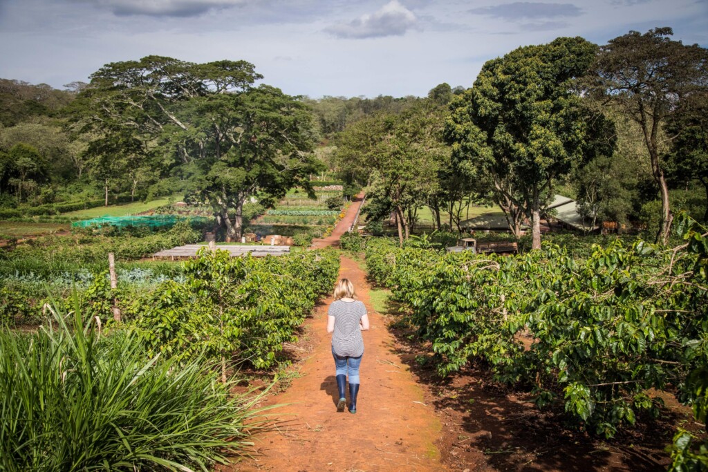Gibb's-Farm-Ngorongoro-Carter-Tanzania-safari-vegtable-garden-walk