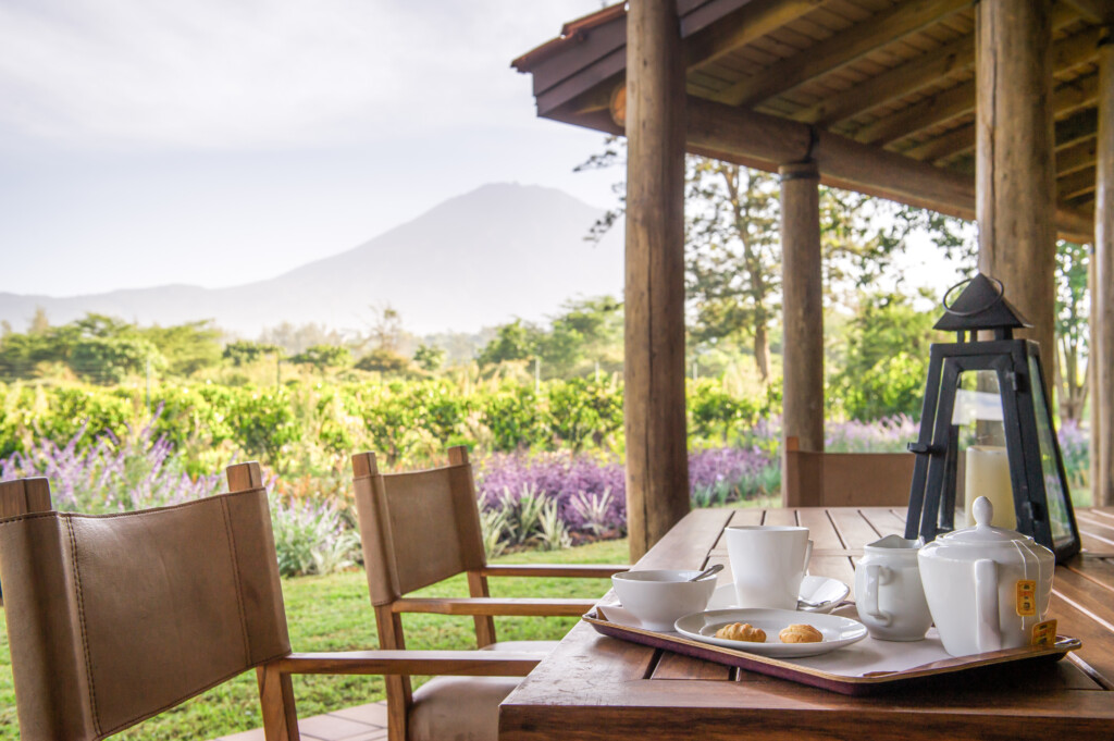 Legendary-Lodge-safari-Arusha-Tanzania-lodge-room-patio-view