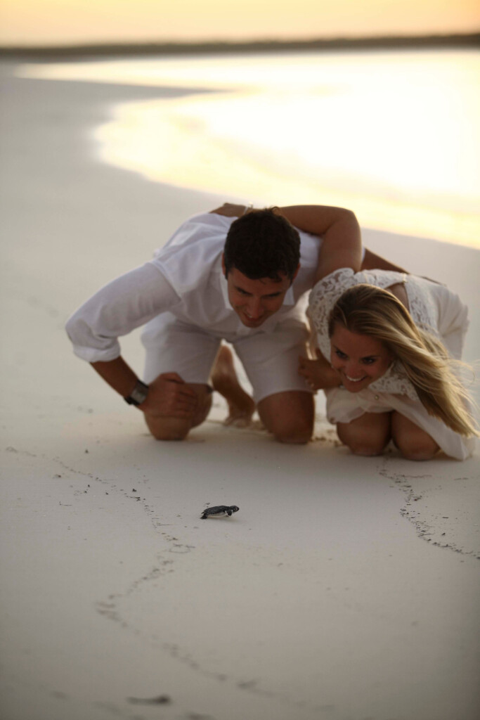 andBeyond-Mnemba-Island-Lodge-Zanzibar-Tanzania-beach-turtle-hatchling