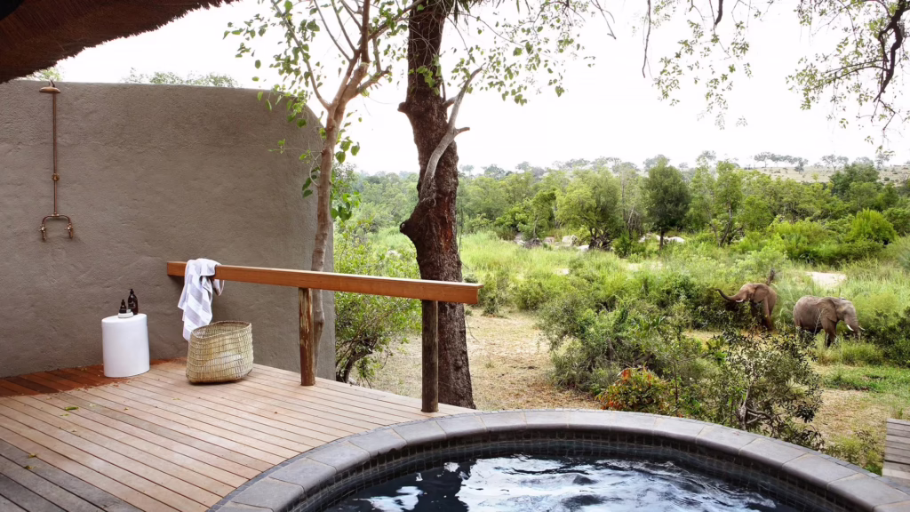 Londolozi Varty Camp
