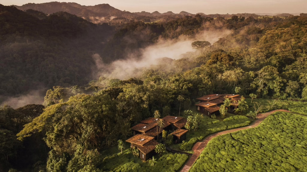 One & Only Nyungwe House