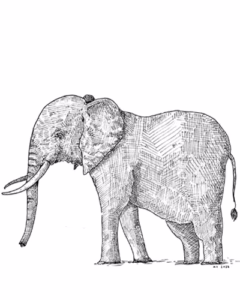 Forest Elephant