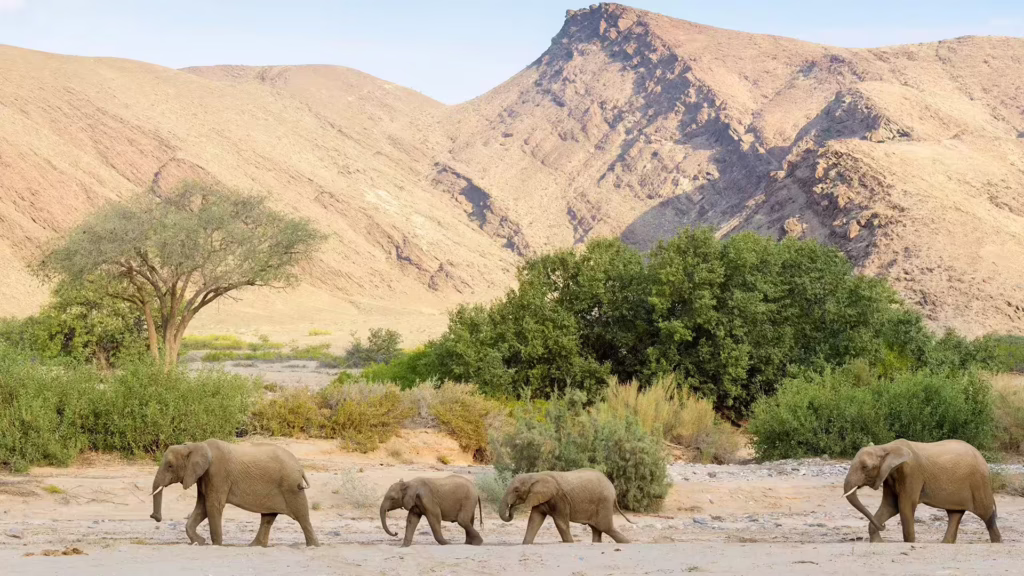 Damaraland