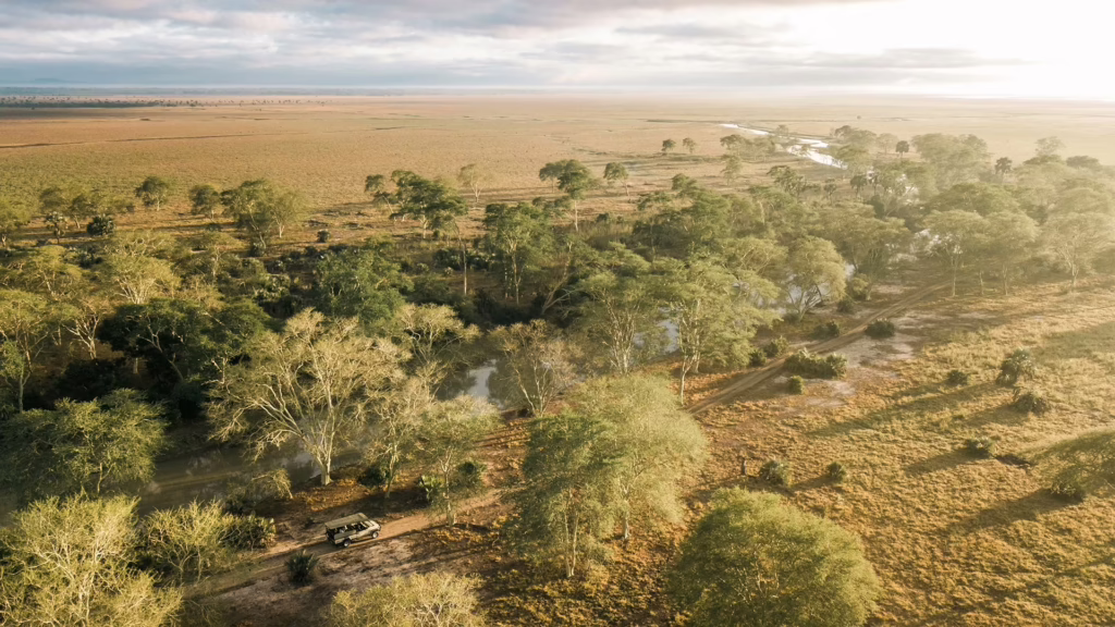Gorongosa National Park