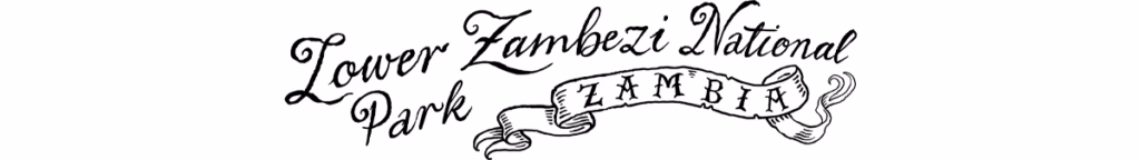 Illustrated Lower Zambezi national park destination banner